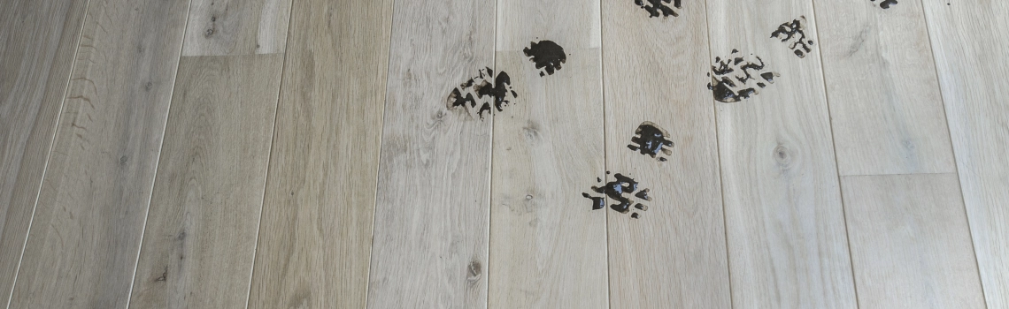 Parket met vuile schoenen